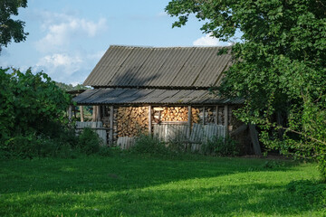 woodshed full of firewood in green country property yard. Evening sunset light.