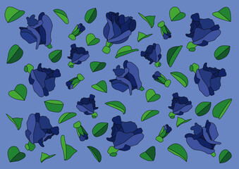 2615 butterfly pea flower on purple background_673512x476224