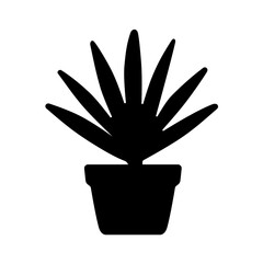 A potted plant featuring slim elongated leaves, symbolizing elegance, care, and natural aesthetics. Suitable for spa visuals, room décor themes, botanical apps, and wellness branding.