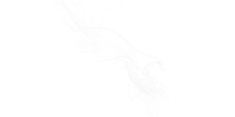 Ethereal White Smoke Trails Abstract Artistry Flowing Forms Mysterious Vapor Dreamy Background Ghostly Patterns Dark