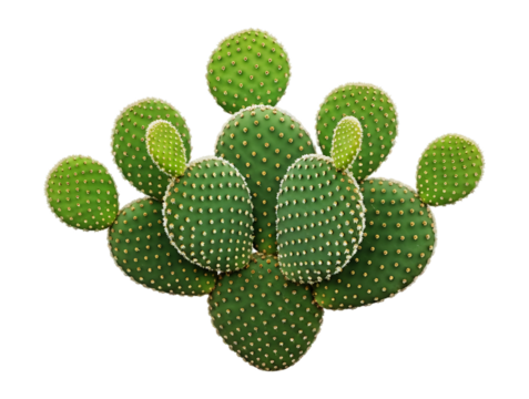 A cluster of green bunny ear prickly pear cactus pads with white glochids, isolated on transparent background