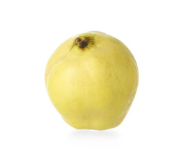 One fresh ripe quince isolated on white