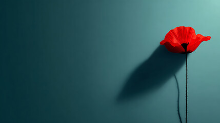 Remembrance day banner with red poppy flower. Memorial for victims of Warld war