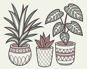 Three potted houseplants in a simple style