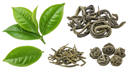 Tea leaves and dried tea isolated on transparent background