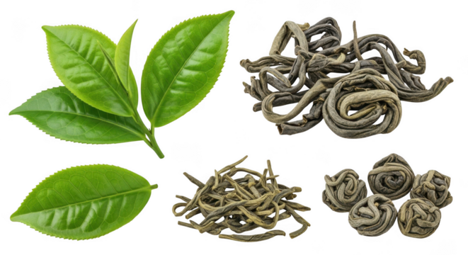 Tea leaves and dried tea isolated on transparent background