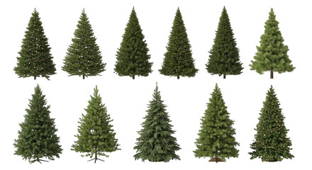 Fototapeta premium Christmas tree isolated on transparent background