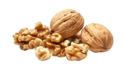A walnut and a few other walnuts