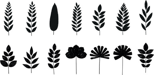 Collection of diverse botanical silhouettes of leaves and plant elements in black and white