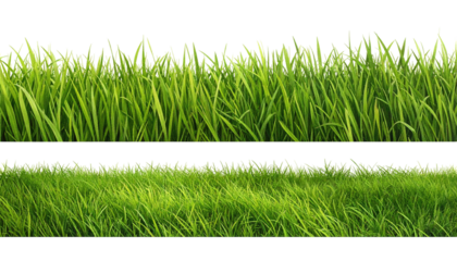 Two bands of vibrant green blades of grass on a solid black background, showcasing texture