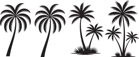 Set of palm tree silhouette.
