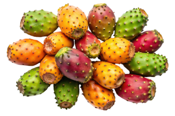 A vibrant assortment of ripe prickly pear cactus fruits in various colors and stages of ripeness isolated on transparent background