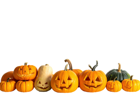 A collection of various gourds and carved jack-o'-lanterns, set against a black backdrop