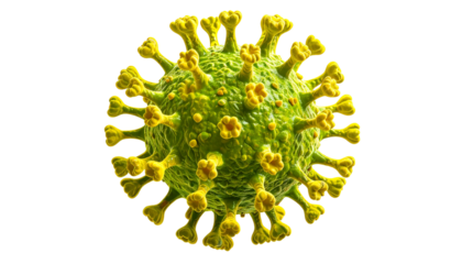 A 3D rendered, isolated, green and yellow sphere depicting the microscopic structure