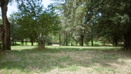 Blurred park scene with shallow bokeh, soft defocused trees and grassy meadow in the distance; background copyspace backplate.