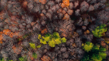 colori al Lago Calamone Reggio Emilia