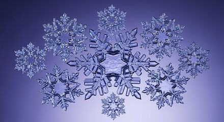 Intricate crystalline snowflakes on a cool blue-purple gradient