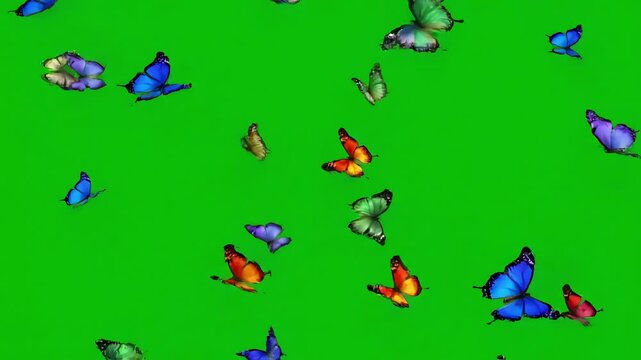 Dynamic Swarm with colourful butterfly effect green screen background for make your content more attractive distortion, overlay, glitch, static noise, scan lines on black background, 4k animated video