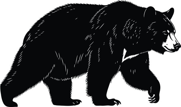 Silhouette of a walking black bear on a white background