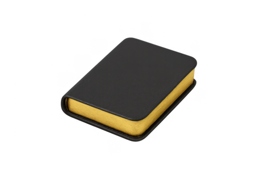 Black leather book with gold pages