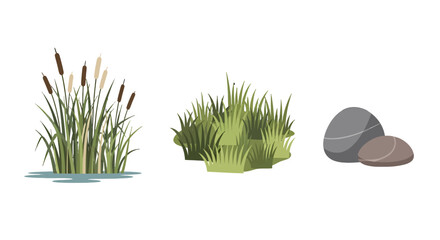 Vector Illustration of Cattails with Green Leaves and Brown Seed Heads.