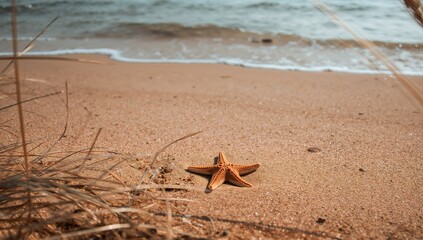 Sandy Shore Serenity. An Abstract Still Life with a Starfish and Coastal Textures.