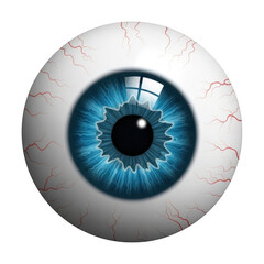 Realistic blue iris human eye with detailed sclera and blood vessels isolated on transparent background