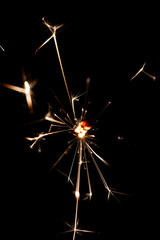 Obraz premium Bright Sparklers Burning on Pure Black Background