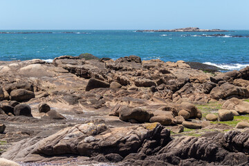 Cabo Polonio Nature — Wildlife, Coast & Landscape Photography	