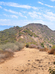 On top of Cahuenga Peak at Wisdom Tree during a summer season in Los Angeles, California, USA
