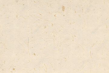 Handmade Pale Cream Washi Paper Texture with Natural Fiber Inclusions