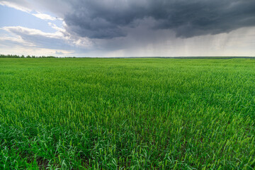 A Lush Green Field Spreading Out Under a Dramatic and Beautifully Cloudy Sky Above