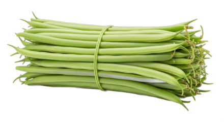A fresh bundle of raw green beans tied together with a rubber band isolated on a transparent background png.
