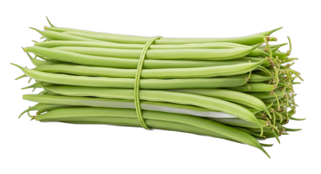 A fresh bundle of raw green beans tied together with a rubber band isolated on a transparent background png.