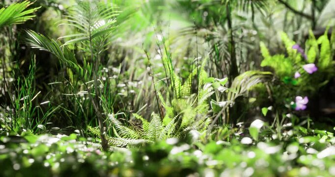Sunlight filters through dense foliage, highlighting a rich tapestry of lush green plants and ferns in a flourishing forest. The scene captures the beauty and vitality of nature.