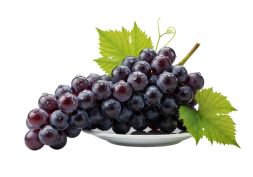 Perfect dark purple grapes, bloom and dewdrops on white plate with green leaves, transparent background, high key studio lighting, photorealistic macro, luxury fresh product concept