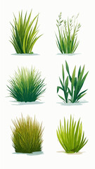 Set grass