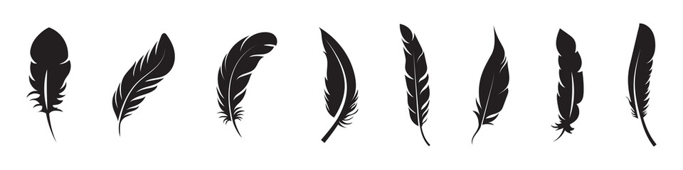 Collection of black feather silhouettes in various shapes © ISHWARAN