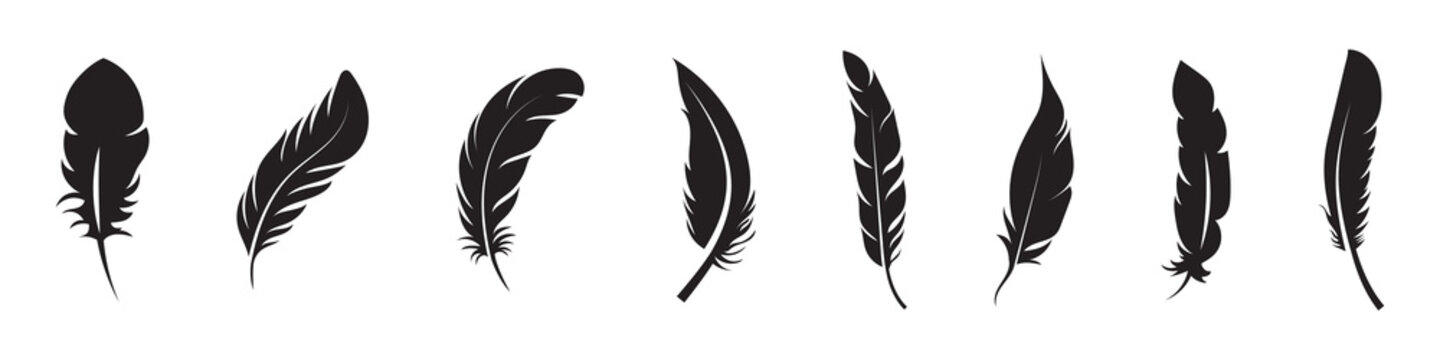 Collection of black feather silhouettes in various shapes
