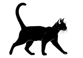 A sleek black cat in silhouette walking with a curved tail