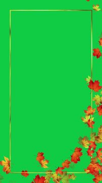 colorful autumn maple leaves and golden corner border frame green screen 4k animation, chroma key realistic leaf thanksgiving and Halloween vertical social media motion design element	