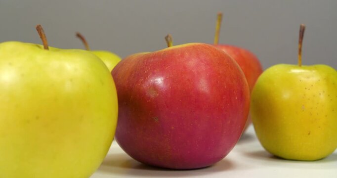 Ripe juicy fresh red and yellow apples rotates on grey background