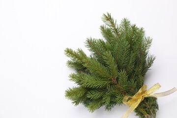 Bouquet of Christmas tree branches on light background, top view. Space for text