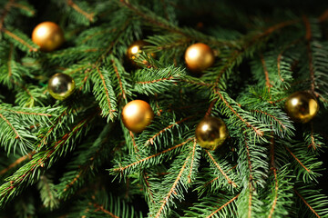 Beautiful spruce tree branches with Christmas ornaments as background, closeup