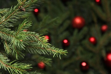 Beautiful spruce tree branches and Christmas ornaments as background, selective focus