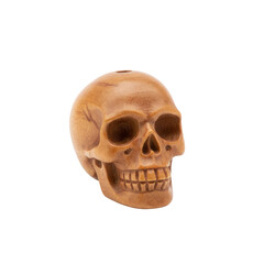 Fototapeta premium Detailed wood skull, a striking anatomical representation of the human skull crafted in wood
