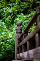 鎌倉251022　妙本寺4　秋雨の風景