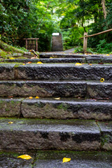 鎌倉251022　妙本寺3　秋雨の風景