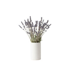 Elegant dried lavender arrangement in a minimalist white vase, isolated for design projects