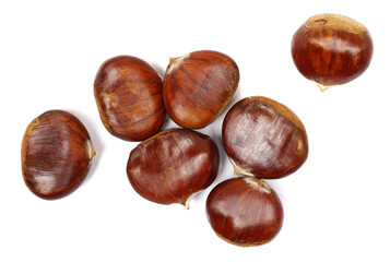 Fresh raw chestnut pile isolated on white background, top view